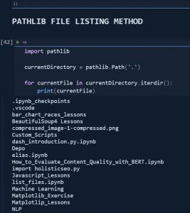 List All Files in A Directory with Python Guideline - Holistic SEO