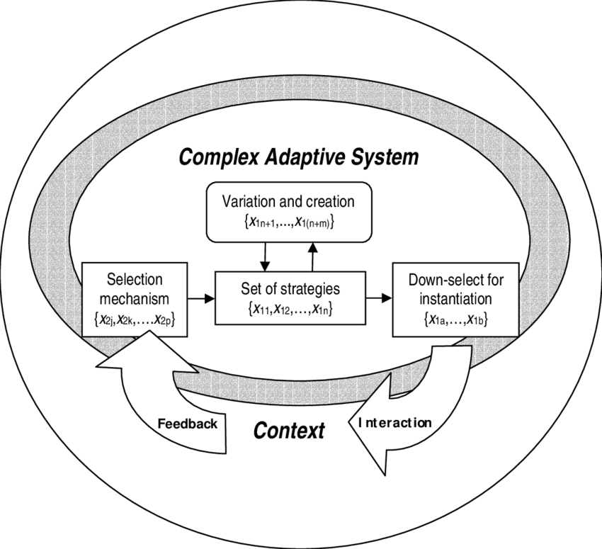Complex Adaptive System Diagram