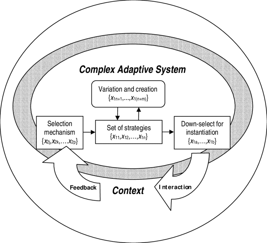 Complex. Система Adaptive. Адаптивные комплексы. Complex Systems. RXB Complex.