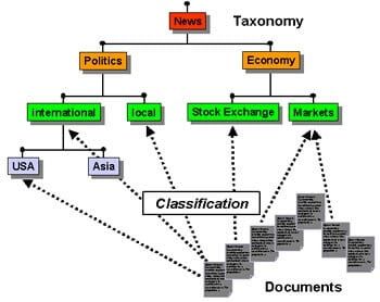 Taxonomy, Ontology Connection