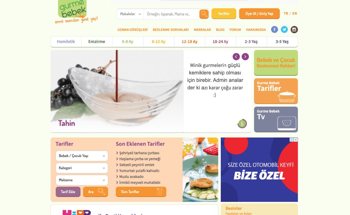 seo case study site gurmebebek SEO Case Study's Site