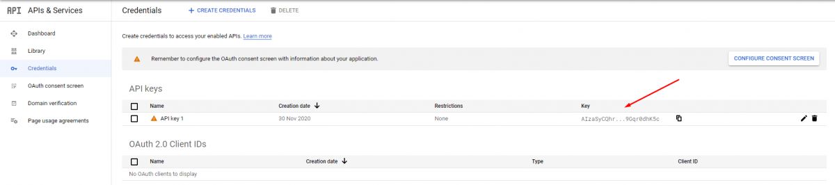 Google Developer Console API Key