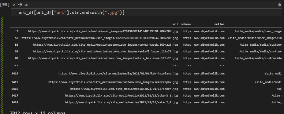 Download Images From Website With Python In Scale - Holistic Seo