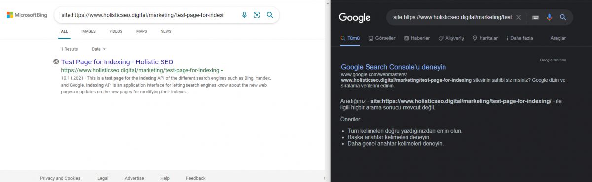 Google Bing Indexing API Test