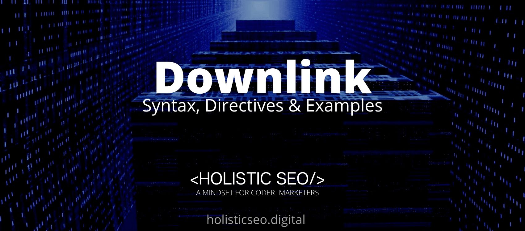 Downlink HTTP Header