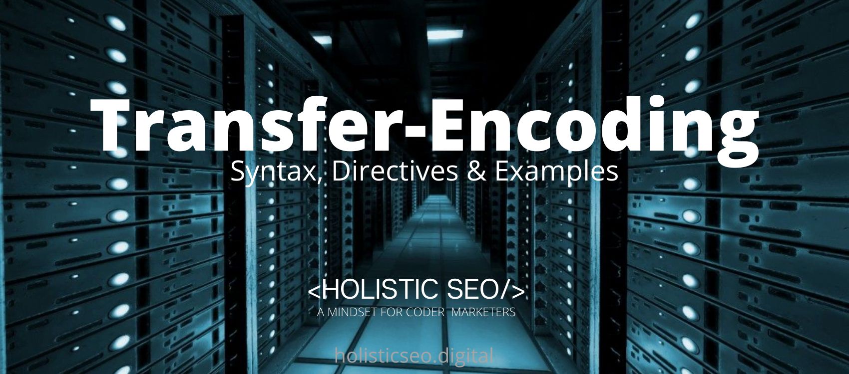 Transfer-Encoding HTTP Header