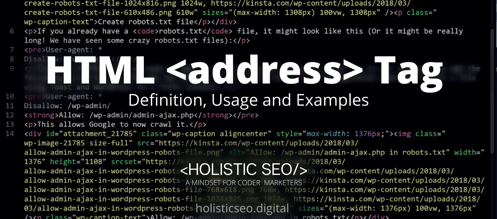 address HTML Tag