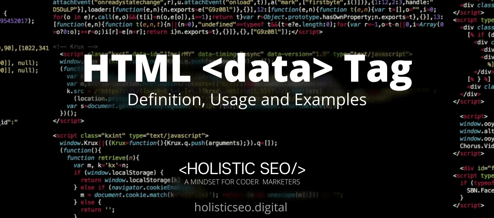 data HTML Tag