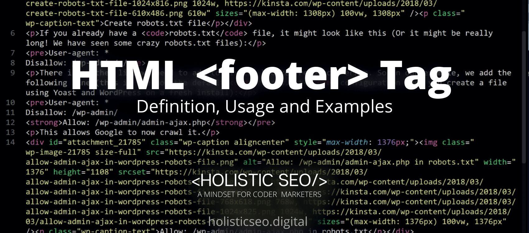 footer HTML Tag