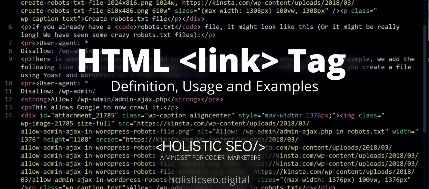 link HTML Tag