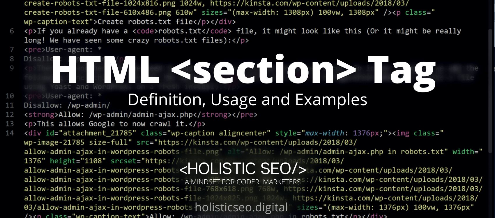 section HTML Tag