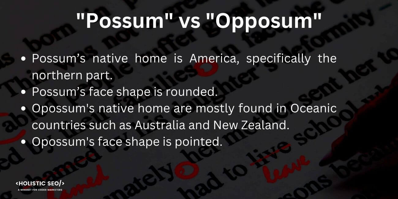 Possum vs Opposum