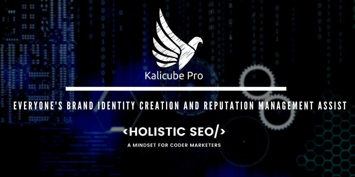 Kalicube Pro Review