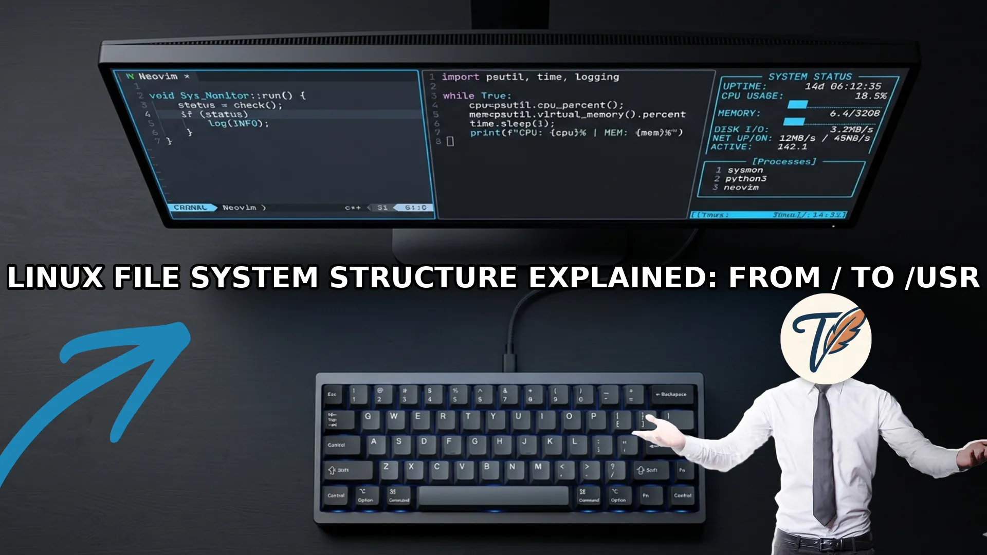 Linux File System Structure Explained: From / to /usr