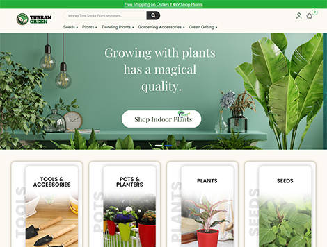 Websites