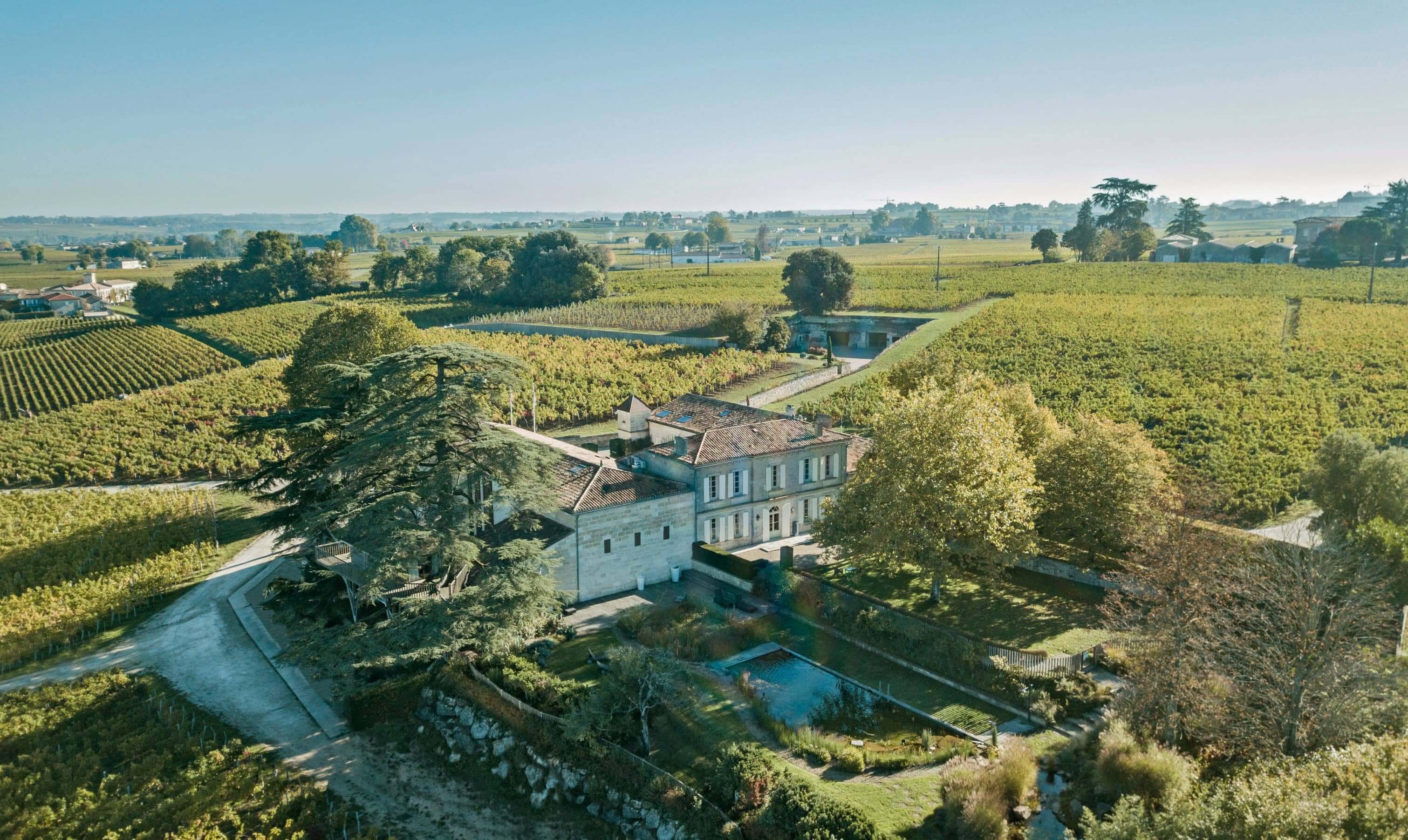 Château Franc-Mayne - Tête Chercheuse