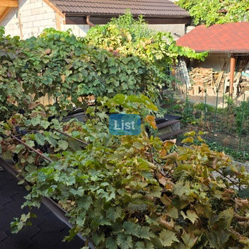 Image of property - 1757936259658_8_dwv5es_batch2_mfl1uvt4wvsagh_20250912_092718.jpg