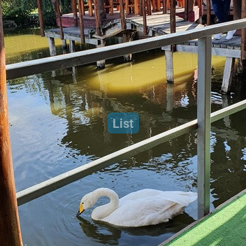 Image of property - 1762861445294_7_p0k4i1_batch0_mhui6so60atr05_13_pe.jpg