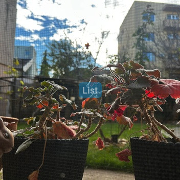 Image of property - 1764088056391_23_05agxy_batch0_mieshbttks9zok_WhatsApp_Image_2025-11-25_at_18.18.13.jpeg