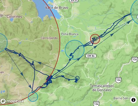 Flight of Damien Zahn