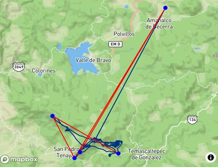 Flight of Erika Klein