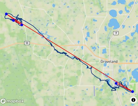 Flight of Davis Straub