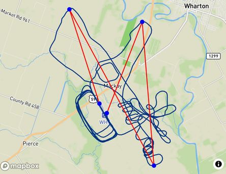 Flight of Cowboy Up