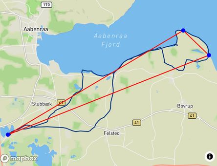 Flight of Martin Egtved