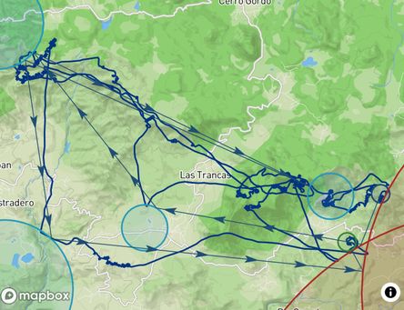 Flight of Bruno Sandoli