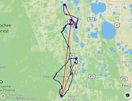 Flight of Davis Straub