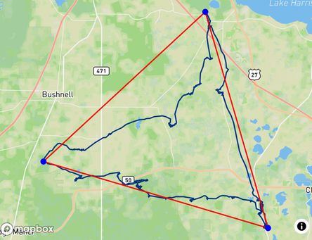 Flight of Davis Straub