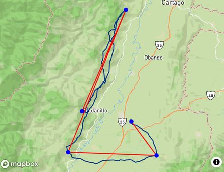 Flight of Diego Martínez