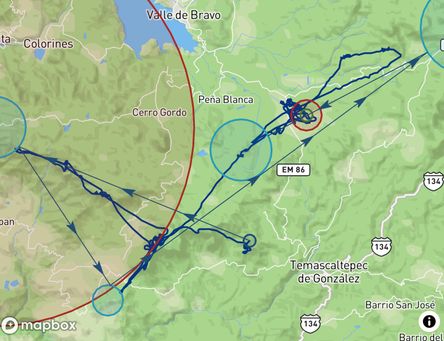 Flight of Rudy Gotes