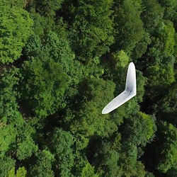 Ziegler Moto Recycling