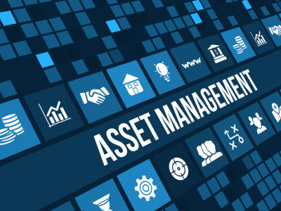 Weighty Asset Management Solution
