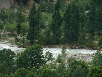 River Beas-Manali
