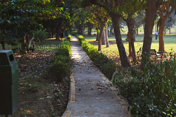 Foot Track at Nehru Park