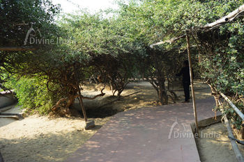Inside way of Nidhivan