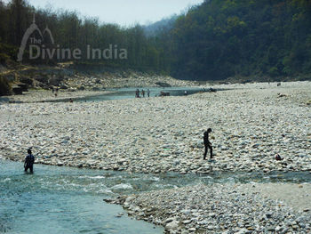Kosi River at Girija Devi Temple