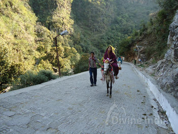 Main Track of Shiv Khori Yatra