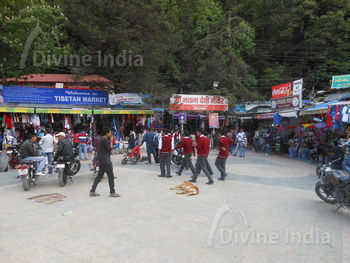 Nainital Market