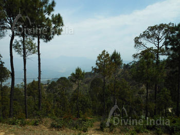 Ranikhet Hill Station