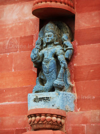 Sri Matsya Sculpture at Sri Krishan Chetan Temple