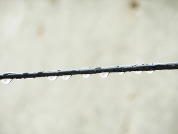 Water drop on wire