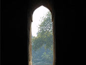 Silhouette, Lodi Gardens