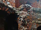 Baoli in Feroz Shah Kotla Fort