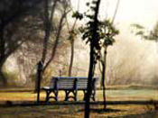 Beautiful Scene
