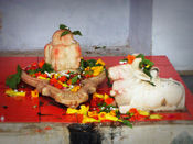 Panchmukhi Shivling at Bateshwar 