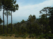 Ranikhet Hill Station