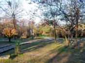 Road of the Garden